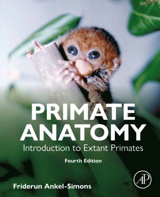 Friderun Ankel-Simons - Primate Anatomy, E-bok. Tillgänglighet: Lägg i varukorg