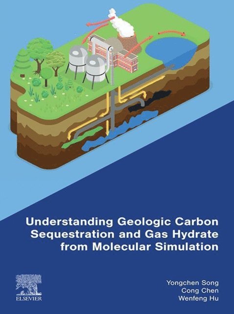 Wenfeng Hu, Cong Chen, Yongchen Song - Understanding Geologic Carbon Sequestration and Gas Hydrate from Molecular Simulation, E-bok