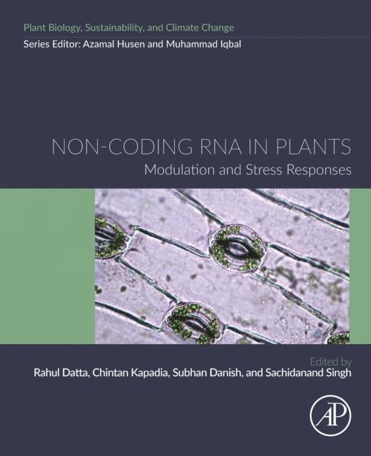 Sachidanand Singh, Subhan Danish, Chintan Kapadia, Rahul Datta - Non-coding RNA in Plants, E-bok