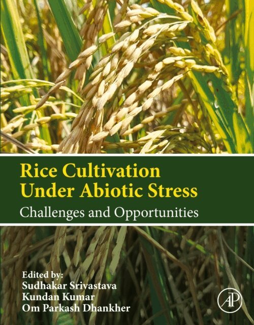 Om Parkash Dhankher, Kundan Kumar, Sudhakar Srivastava - Rice Cultivation Under Abiotic Stress, E-bok