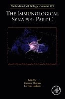 The Immunological Synapse Part C