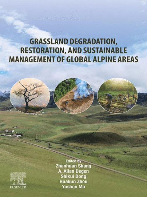 Yushou Ma, Huakun Zhou, Shikui Dong, A Allan Degen, Zhanhuan Shang - Grassland Degradation, Restoration, and Sustainable Management of Global Alpine Areas, E-bok