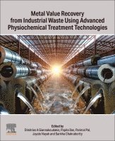 Dimitrios A Giannakoudakis, Papita Das, Parimal Pal, Jayato Nayak, Sankha Chakrabortty - Metal Value Recovery from Industrial Waste Using Advanced Physicochemical Treatment Technologies, Häftad