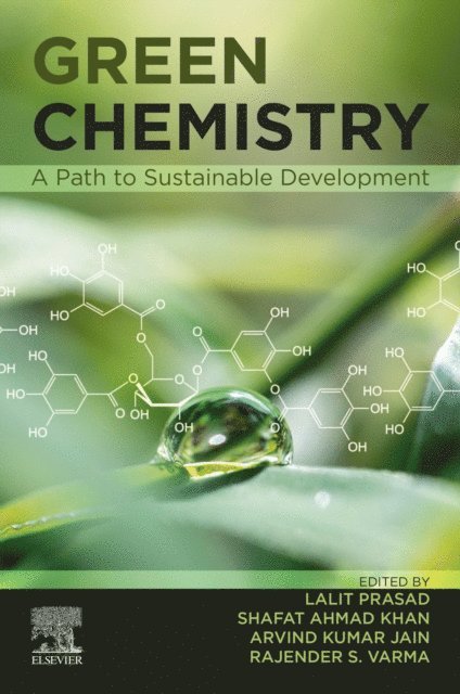Rajender S Varma, Arvind Kumar Jain, Shafat Ahmad Khan, Lalit Prasad - Green Chemistry, E-bok
