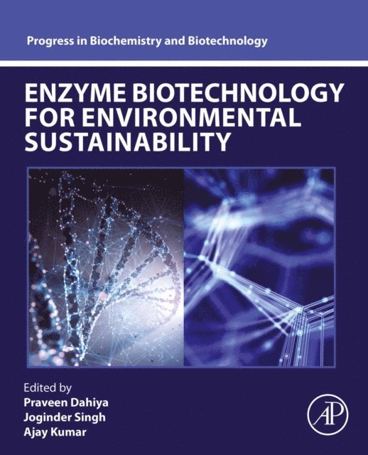 Ajay Kumar, Joginder Singh Panwar, Praveen Dahiya - Enzyme Biotechnology for Environmental Sustainability, E-bok