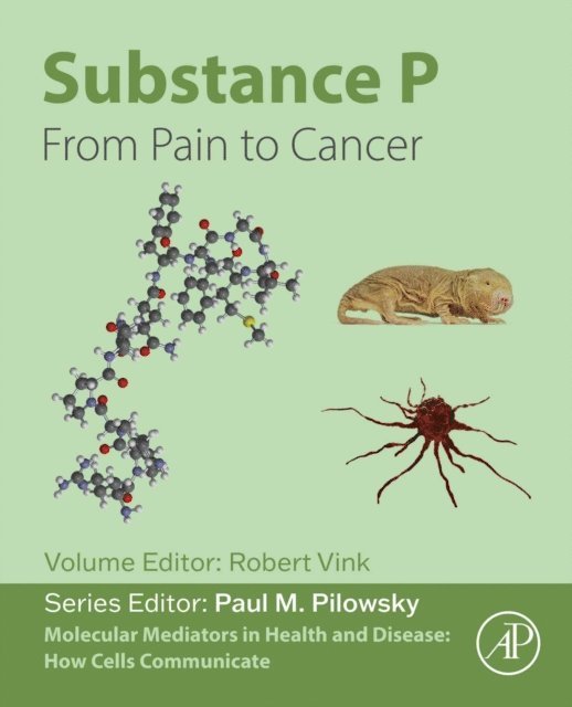 Robert Vink - Substance P, E-bok