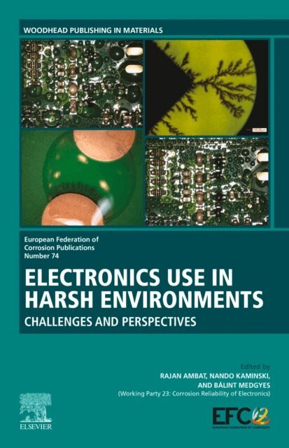 Balint Medgyes, Nando Kaminski, Rajan Ambat - Electronics Use in Harsh Environments, E-bok