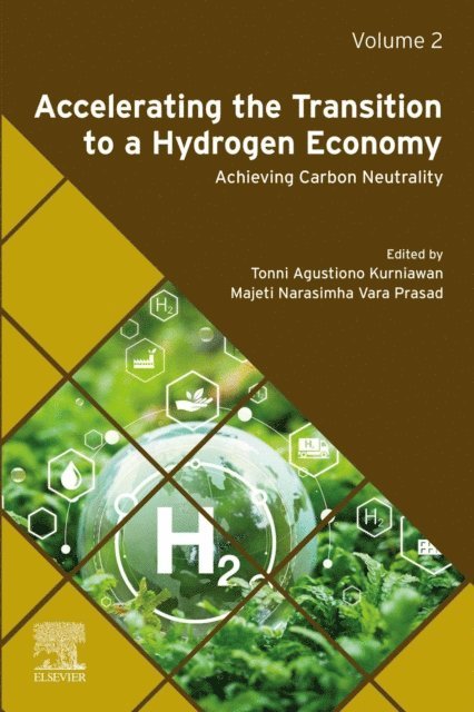 Majeti Narasimha Vara Prasad, Tonni Agustiono Kurniawan - Accelerating the Transition to a Hydrogen Economy, E-bok
