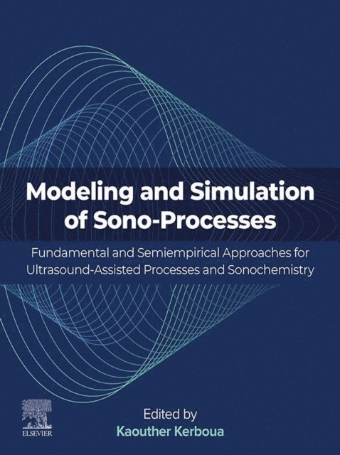 Kaouther Kerboua - Modeling and Simulation of Sono-Processes, E-bok