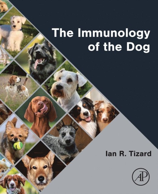 Ian R. Tizard - Immunology of the Dog, E-bok