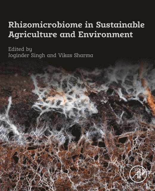 Vikas Sharma, Joginder Singh Panwar - Rhizomicrobiome in Sustainable Agriculture and Environment, E-bok