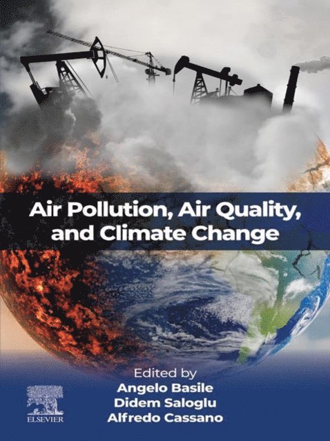 Alfredo Cassano, Didem Saloglu, Angelo Basile - Air Pollution, Air Quality, and Climate Change, E-bok