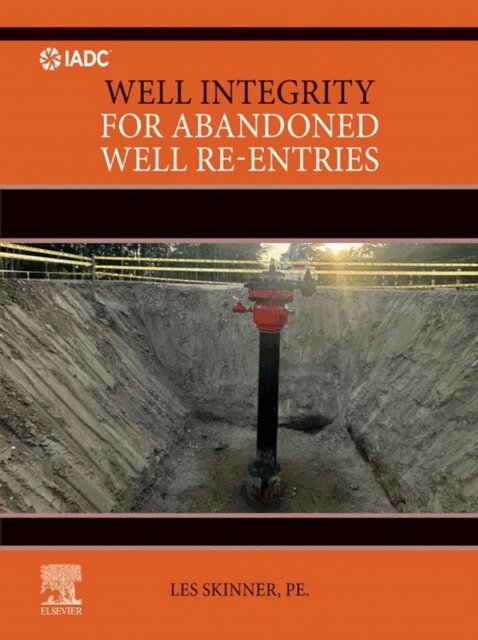 Les Skinner - Well Integrity for Abandoned Well Re-entries, E-bok