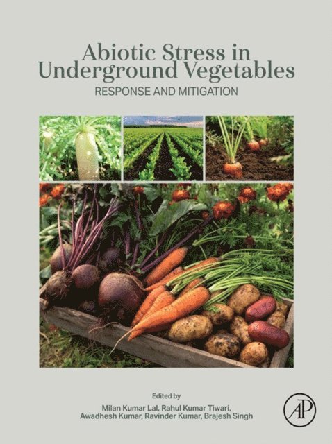 Brajesh Singh, Ravinder Kumar, Awadhesh Kumar, Rahul Kumar Tiwari, Milan Kumar Lal - Abiotic Stress in Underground Vegetables, E-bok