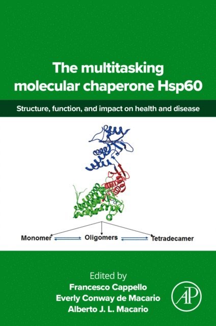 Alberto JL Macario, Everly Conway de Macario, Francesco Cappello - multitasking molecular chaperone Hsp60, E-bok