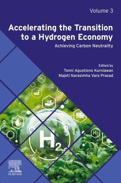 Majeti Narasimha Vara Prasad, Tonni Agustiono Kurniawan - Accelerating the Transition to a Hydrogen Economy, E-bok
