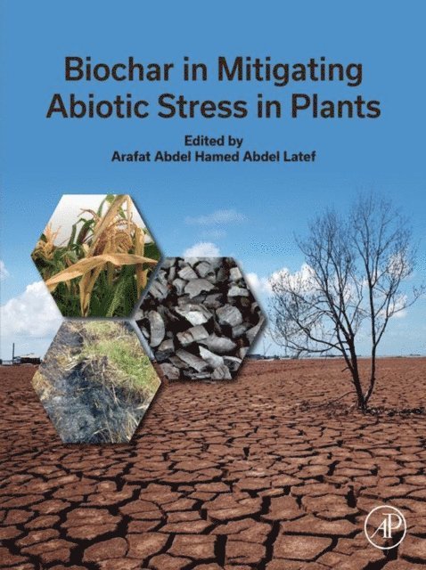 Arafat Abdel Hamed Abdel Latef - Biochar in Mitigating Abiotic Stress in Plants, E-bok