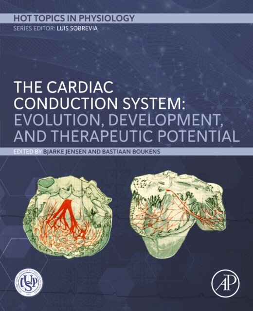Bastiaan Boukens, Bjarke Jensen - Cardiac Conduction System, E-bok