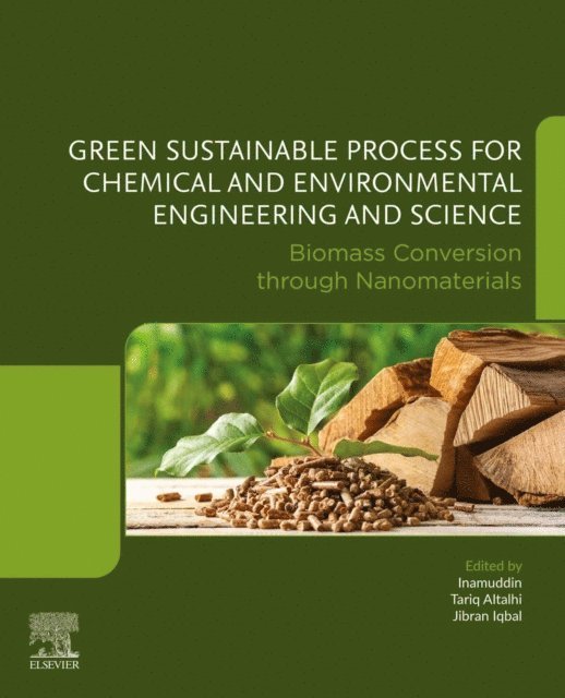 Jibran Iqbal, Tariq Altalhi, Inamuddin - Biomass Conversion through Nanomaterials, E-bok