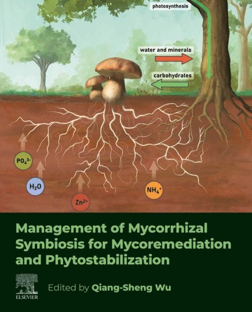 Qiang-Sheng Wu - Management of Mycorrhizal Symbiosis for Mycoremediation and Phytostabilization, E-bok