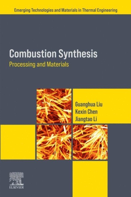 Jiangtao Li, Kexin Chen, Guanghua Liu - Combustion Synthesis, E-bok