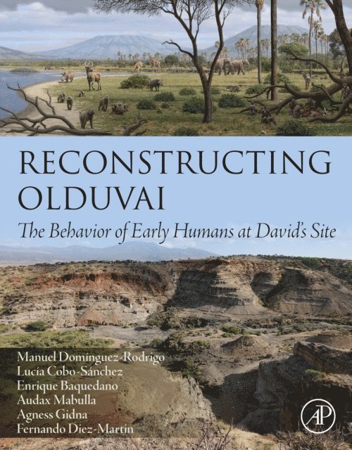Fernando Diez-Martin, Agness Gidna, Audax Mabulla, Enrique Baquedano, Lucia Cobo-Sanchez, Manuel Dominguez-Rodrigo - Reconstructing Olduvai, E-bok