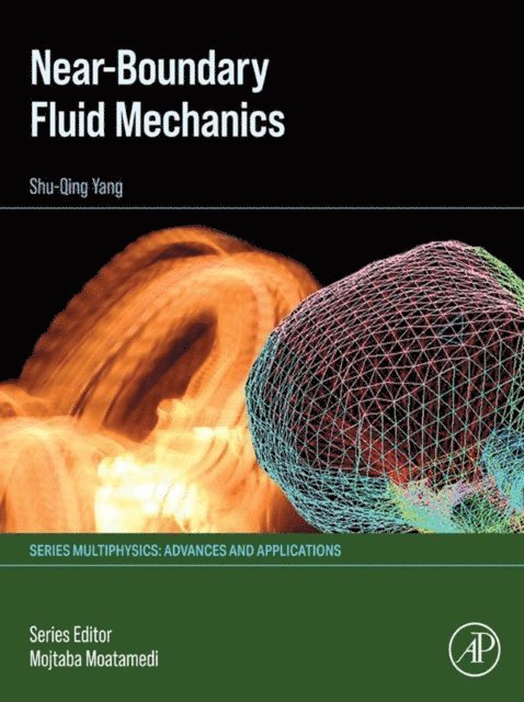 Shu-Qing Yang - Near-boundary Fluid Mechanics, E-bok