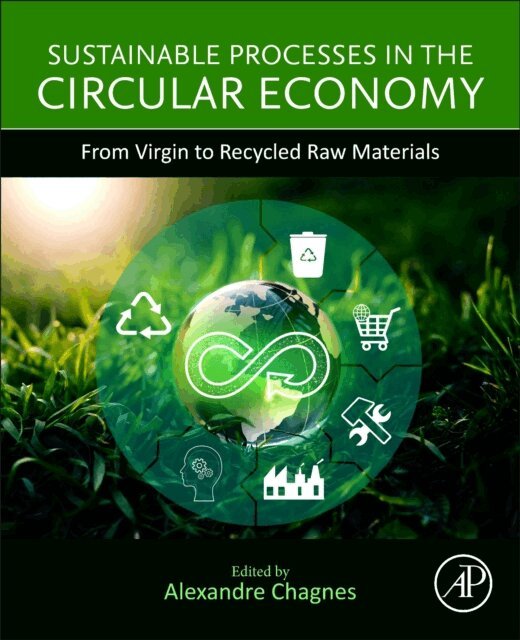 Alexandre Chagnes - Sustainable Processes in the Circular Economy, E-bok