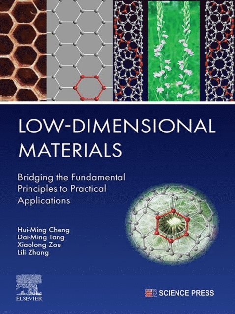 Lili Zhang, Xiaolong Zou, Dai-Ming Tang, Hui-Ming Cheng - Low-Dimensional Materials, E-bok