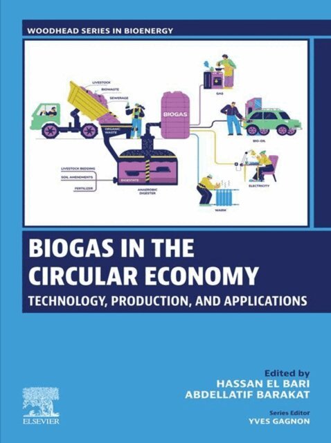 Abdellatif Barakat, Hassan El Bari - Biogas in the Circular Economy, E-bok