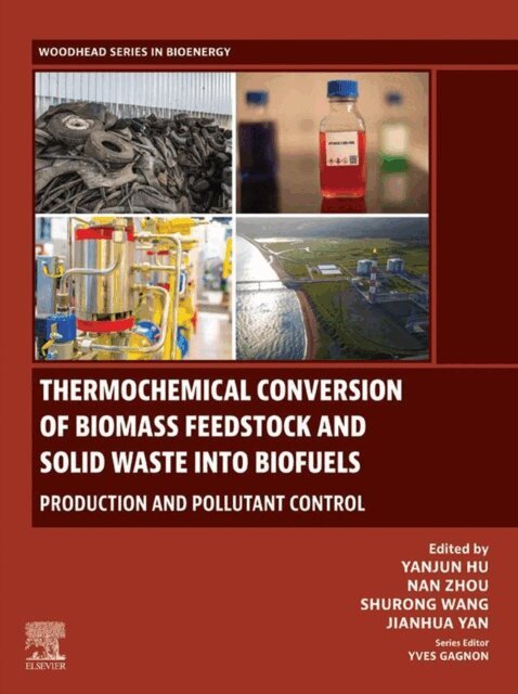 Jianhua Yan, Shurong Wang, Nan Zhou, Yanjun Hu - Thermochemical Conversion of Biomass Feedstock and Solid Waste into Biofuels, E-bok