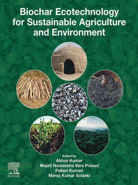 Manoj Kumar Solanki, Pallavi Kumari, Majeti Narasimha Vara Prasad, Abhay Kumar - Biochar Ecotechnology for Sustainable Agriculture and Environment, E-bok