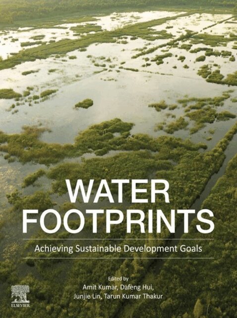 Tarun Kumar Thakur, Junjie Lin, Dafeng Hui, Amit Kumar - Water Footprints, E-bok
