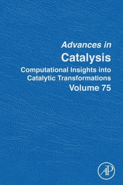 Maria Biosca - Computational Insights into Catalytic Transformations, E-bok