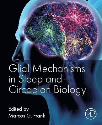 Marcos G. Frank - Glial Mechanisms in Sleep and Circadian Biology, Häftad. Tillgänglighet: Kommande