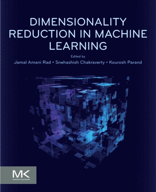 Kourosh Parand, Snehashish Chakraverty, Jamal Amani Rad - Dimensionality Reduction in Machine Learning, E-bok