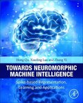 Towards Neuromorphic Machine Intelligence