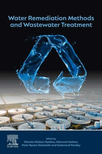 Sadanand Pandey, Peter Apata Olubambi, Olawumi Sadare, Olusola Olaitan Ayeleru - Water Remediation Methods and Wastewater Treatment, E-bok