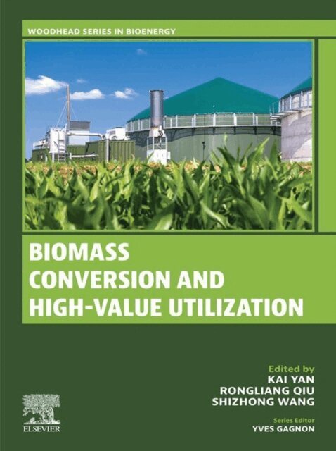 Shizhong Wang, Rongliang Qiu, Kai Yan - Biomass Conversion and High-Value Utilization, E-bok