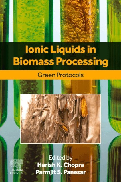 Parmjit S. Panesar, Harish K. Chopra - Ionic Liquids in Biomass Processing, E-bok