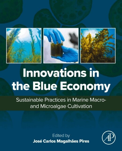 Jose Carlos Magalhaes Pires - Innovations in the Blue Economy, E-bok