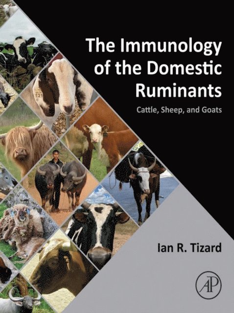 Ian R. Tizard - Immunology of the Domestic Ruminants, E-bok