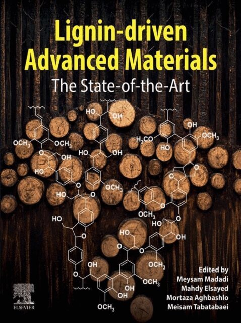 Meisam Tabatabaei, Mortaza Aghbashlo, Mahdy Elsayed, Meysam Madadi - Lignin-driven Advanced Materials, E-bok