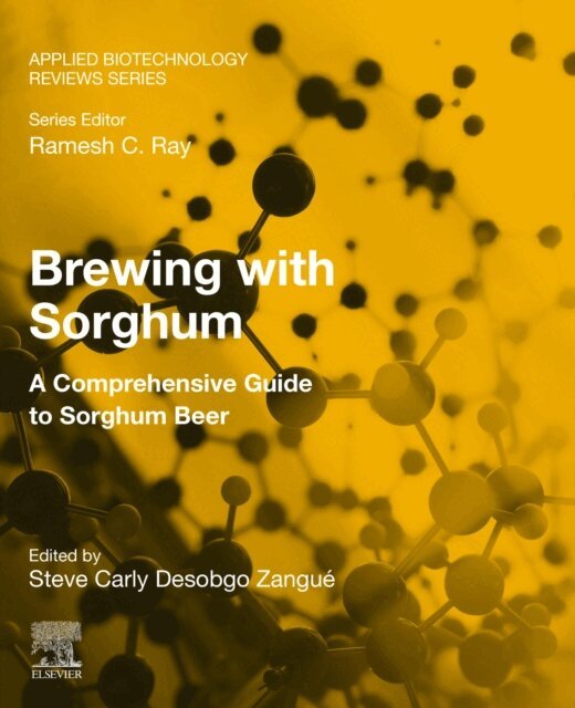 Steve Carly Desobgo Zangue - Brewing with Sorghum, E-bok