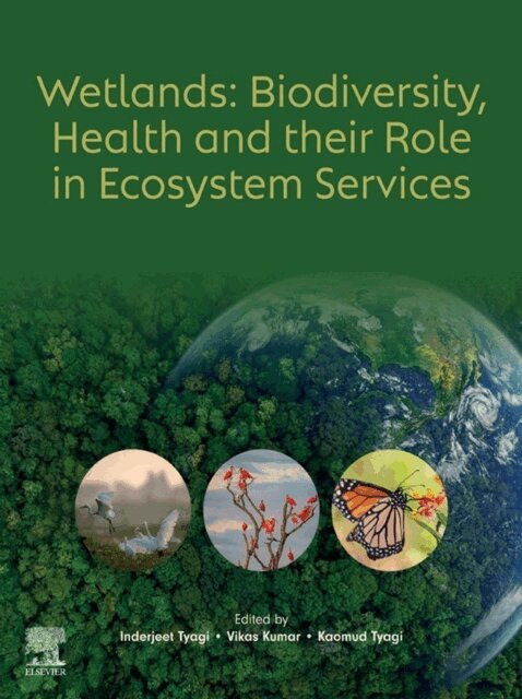 Kaomud Tyagi, Vikas Kumar, Inderjeet Tyagi - Wetlands: Biodiversity, Health and their Role in Ecosystem Services, E-bok. Tillgänglighet: Lägg i varukorg