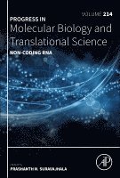Non-coding RNA