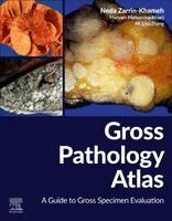 Gross Pathology Atlas