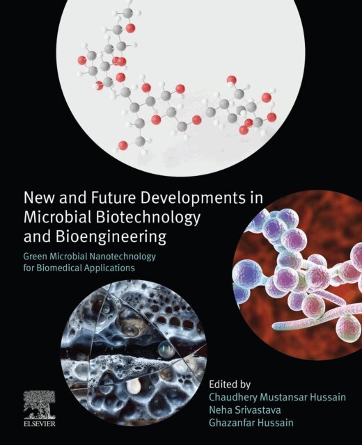 Ghazanfar Hussain, Neha Srivastava, Chaudhery Mustansar Hussain - Green Microbial Nanotechnology for Biomedical Applications, E-bok