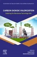 Carbon Dioxide Valorization