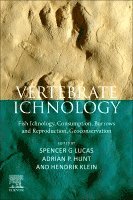Lucas,Spencer, Spencer G Lucas, Adrian Hunt P, Hendrik Klein - Vertebrate Ichnology, Häftad